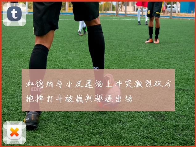 加德纳与小皮蓬场上冲突激烈双方抱摔打斗被裁判驱逐出场
